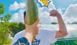 吃瓜原创网红是谁啊