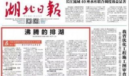 湖北今日头条爆料最新消息