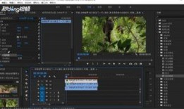 残影爆料视频大全最新,揭秘娱乐圈幕后真相
